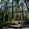 山神社と旧参道へ、霧島神宮の本殿脇から山に入っていくと