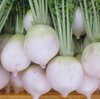 美味しい野菜ー4月第三週の配送野菜