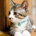 適当にコラムを書いています。