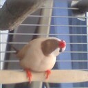 ムギのblog
