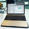 SNSの時代か、それとも