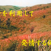楽山の無神論漁り