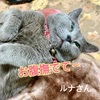 3/21 営業中止します☔️🌪