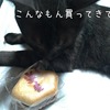 体が資本・・下がれ血糖値