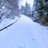 雪道走行で道路下に転落しかけた