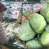 野菜の輸入 激増！ 意外な理由