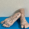 腎(生命のバッテリー)を褒められる