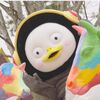 韓国人はペンギン好き？韓国で今大人気の「ペンス」