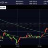 【SBI証券】2021年02月01日 状況報告