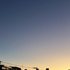 今年初、、、