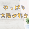 観葉植物は今日も元気に太陽に向かっています