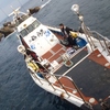 初釣り！：美良島ビシャゴでのクロ釣り