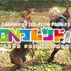 【ご紹介】なりたんさんのDDONフレンドパーク♪＊