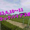 2023,6,10～11 トラックバイアス結果 (東京競馬場、阪神競馬場、函館競馬場)