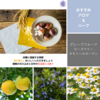 【二十四節気】寒露（かんろ）：2024年は10月8日～過ごし方とイメージする香り