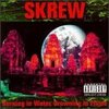 Skrew / Burning In Water, Drowning In Flame