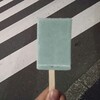 歩道橋の上でガリガリ君のチョコミント味を食べた時、人は何を思うのか