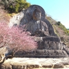 日本寺　直書き御朱印の魅力と鋸山の見どころを徹底紹介