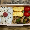 パパが作った弁当（No.251）