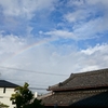 小枝払い雨天決行！