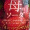 苺のソーダ／ＳＡＰＰＯＲＯ