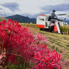 ９月が終わり10月が始まる。