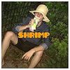 【11】yonawo「SHRIMP  ep」