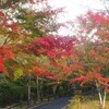 四万温泉の紅葉 2025年｜見頃の時期、現在の状況、見どころ、混雑、アクセス、ライブカメラ、奥四万湖（群馬県吾妻郡中之条町）