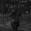 晩酌で観た映画『生きる』