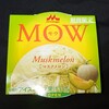 MOW(モウ) マスクメロン！メロン味で登場！コンビニで買えるカロリーや値段が気になるアイス商品