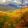 山梨県紅葉観賞日帰り旅行は大渋滞