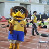 2014DIVISION １第２６節 一歩ずつ後退も希望はある！！！
