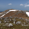 霊仙山 － 咲き誇る福寿草とカレンフェルトの台地 （2017.4.16）