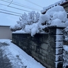 雪はほどほどに降るのが良い