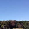 関東は大雪じゃなくて大乾燥、背中が痒い時の対処法