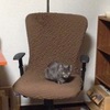 オヤジの椅子