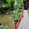 真姿の池湧水群（東京都国分寺）