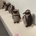 yoroton’s blog