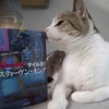 #347 スティーヴン・キング短編集『マイル81』と既にファンです【本】