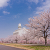 岩峅野桜づつみ・緑地公園(富山クリーンセンター横)