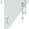 門倉貴史『ホワイトカラーは給料ドロボーか』