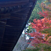 湖南長寿寺の秋その２