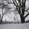 雪の中島公園