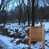 雪の日和田山