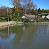 海道端沼（埼玉県鳩山）