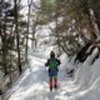 生活は踊るで放送された「低い登山のススメ」