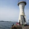 2022年4月2日野島防波堤､今年初ドック