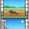 『ほら、ここにも猫』・第427話「夏至」（summer solstice）