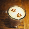 人生初の猫カフェをカナダにて