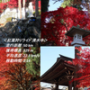 紅葉狩りﾗｲﾄﾞ 清水寺